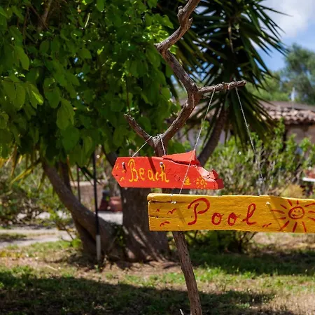 Junior Adults Only Mallorca